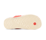 Native Blanca Snapper Red/biggie Print